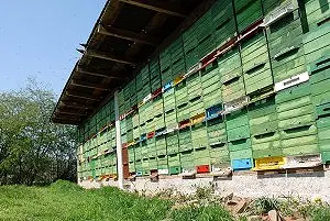 Čebelarstvo Kovačič
