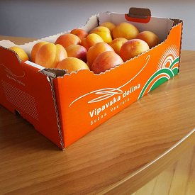 Embalaža_Vipavska dolina_Sočna._Vse leto. Embala__a_Vipavska_dolina_So__na._Vse_leto..jpg